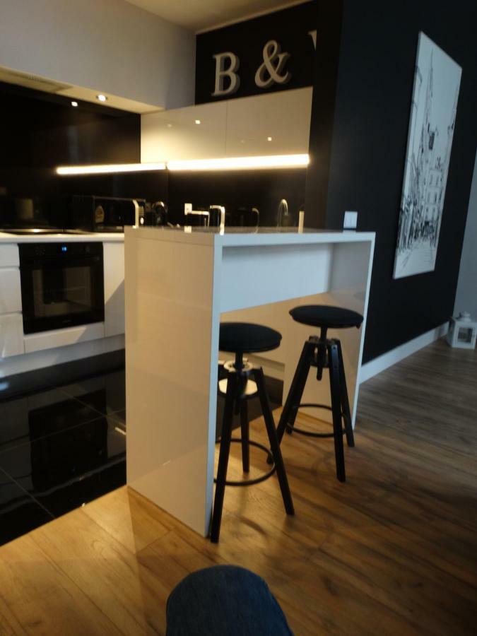 Black&White Apartment- Wierzbowa 5 بوزنان المظهر الخارجي الصورة