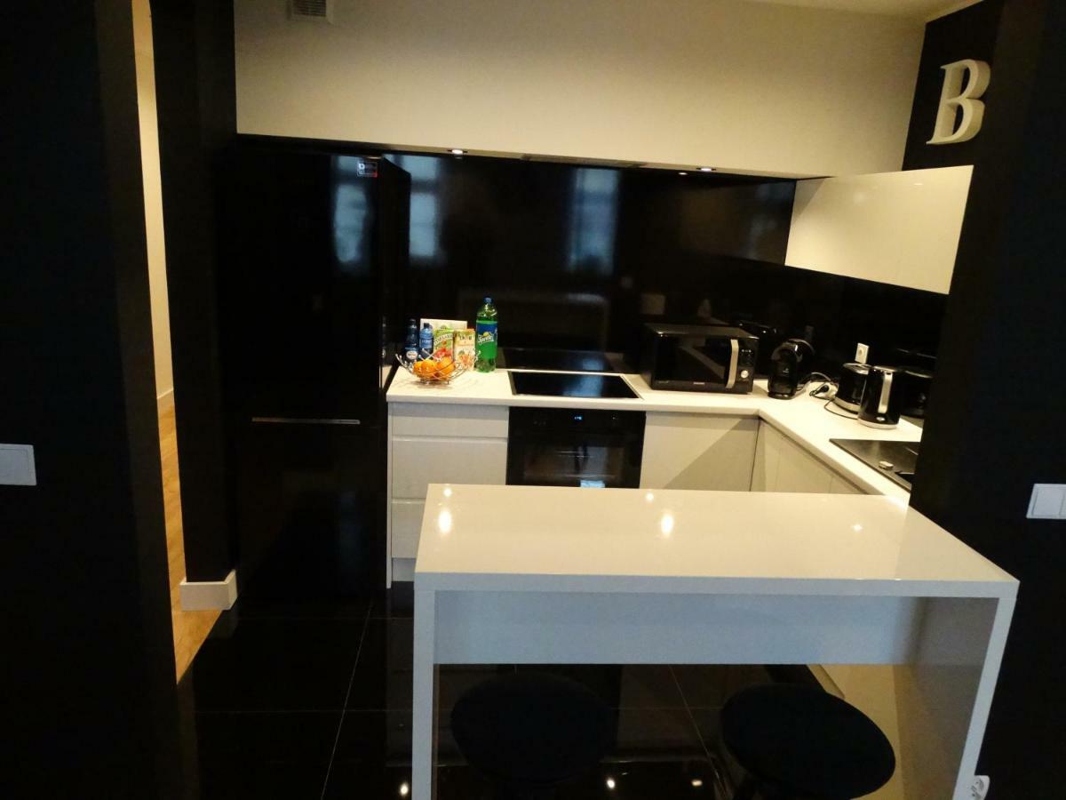 Black&White Apartment- Wierzbowa 5 بوزنان المظهر الخارجي الصورة